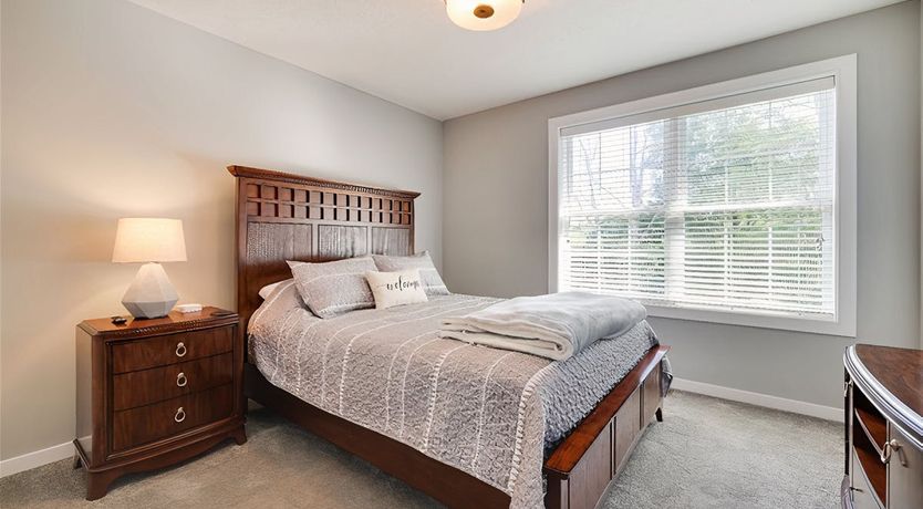 Photo of Through the Seasons