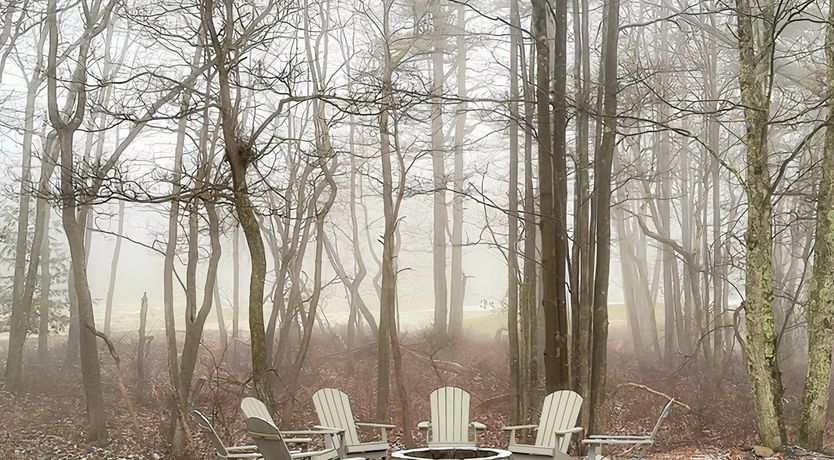 Photo of Through the Seasons