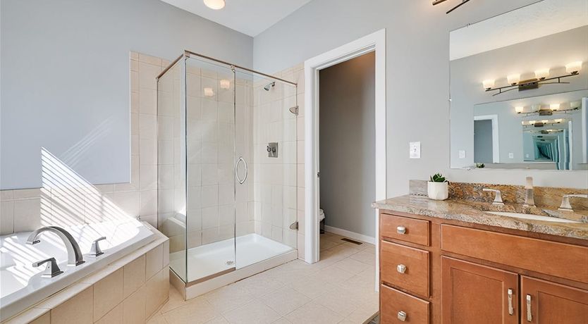 Photo of Through the Seasons