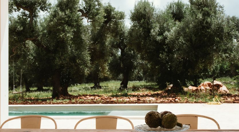 Photo of Oasis of Peace