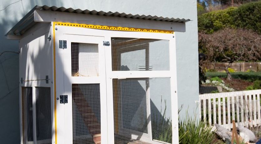 Photo of A Song For You