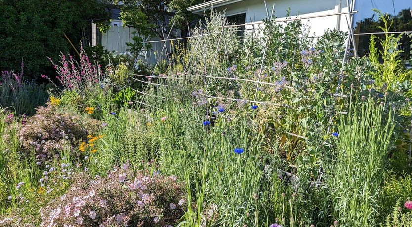 Photo of A Song For You