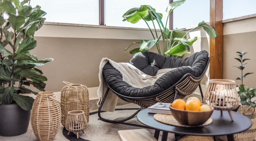 Photo of Bamboo Shoot