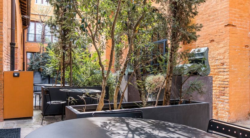 Photo of The Midas Lamp