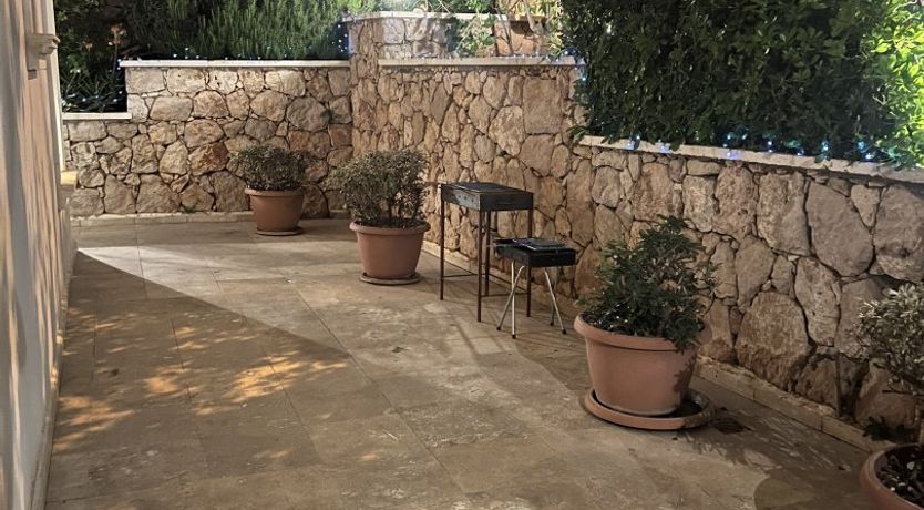 Photo of Rhodan Blue