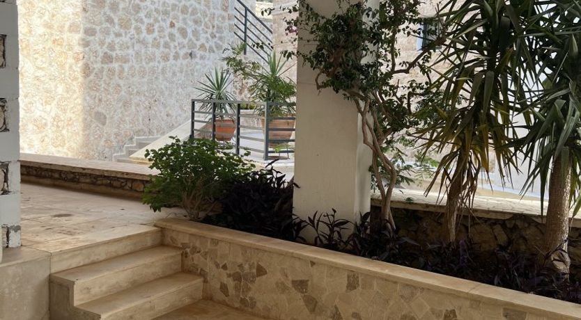 Photo of Rhodan Blue