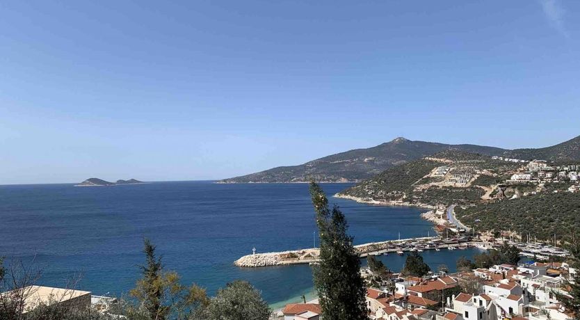 Photo of Rhodan Blue