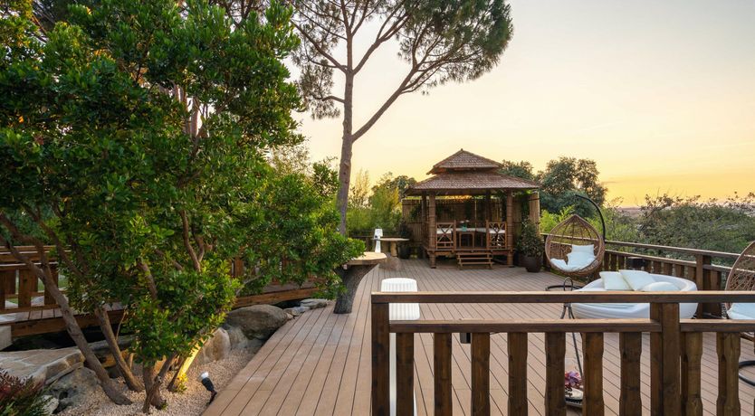 Photo of An Ode to Sunshine