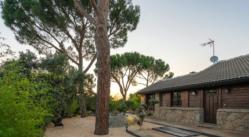 Photo of An Ode to Sunshine