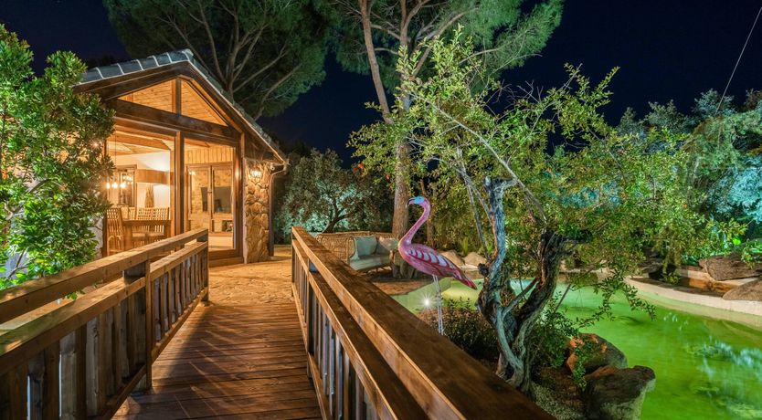 Photo of An Ode to Sunshine