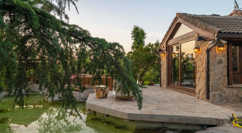 Photo of An Ode to Sunshine