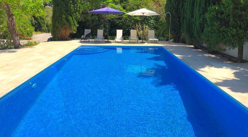 Photo of Sunshine & Sunflowers