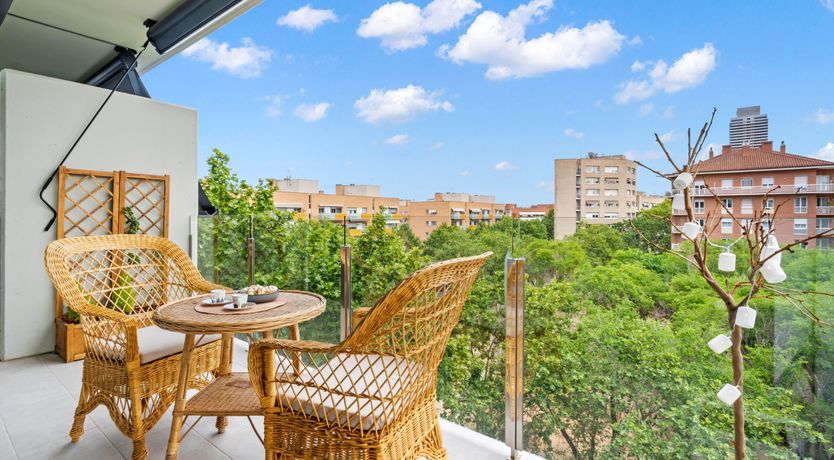 Photo of The White Olive