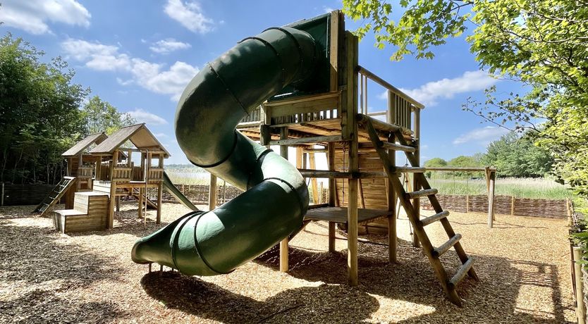 Photo of The Heather Tree