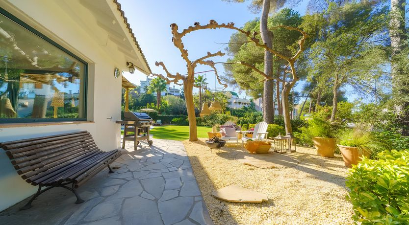 Photo of Luscious Coastal Haven