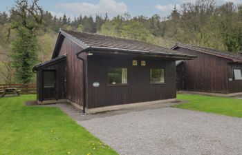 Beech Timber Lodge Holiday Cottage