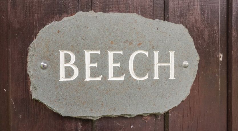 Photo of Beech Timber Lodge