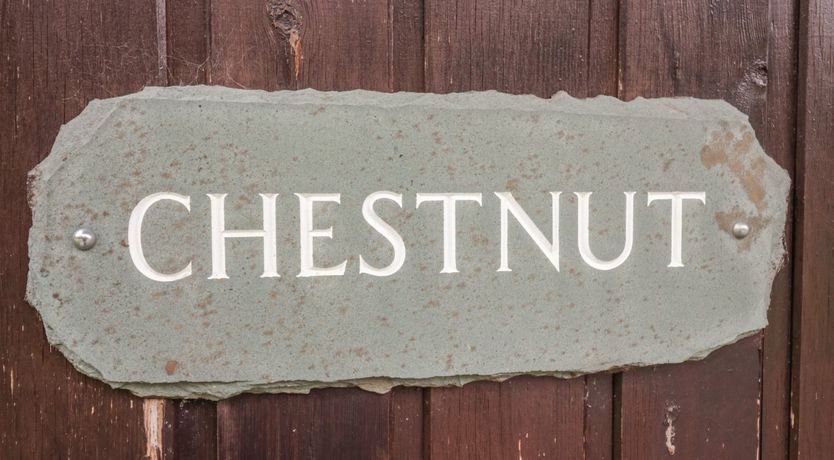 Photo of Chestnut Timber Lodge