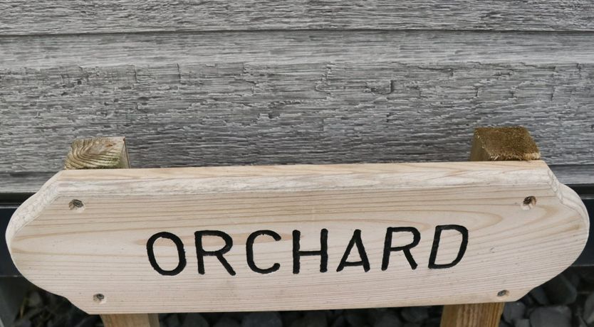 Photo of Orchard