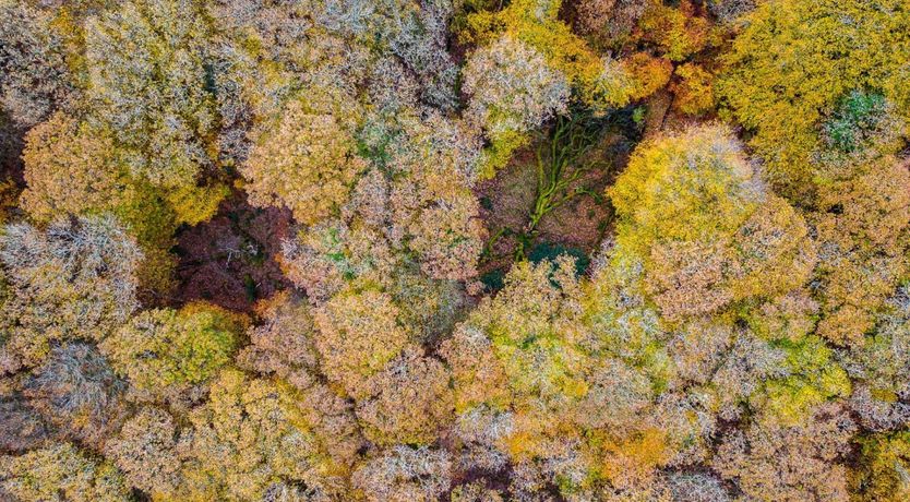 Photo of Norton Cottage, Hawkridge