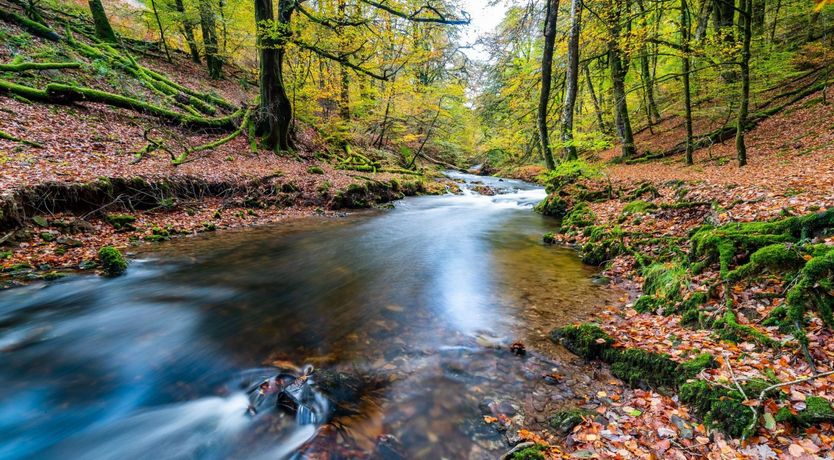 Photo of West Hollowcombe Farm Cottages - full site