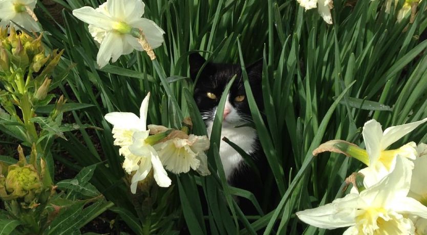 Photo of May Cottage,  nr Huntsham