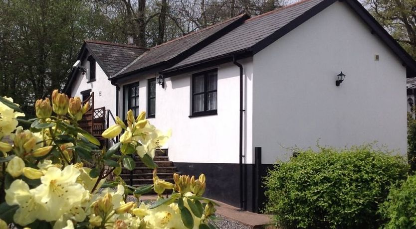 Photo of Nuthatch, nr Huntsham