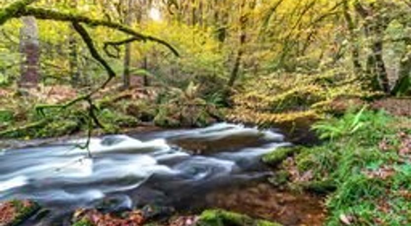 Photo of Smiddy Cottage, Hawkridge
