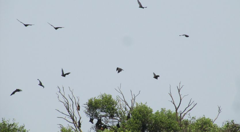 Photo of 1 Bedroom Apartment (B)