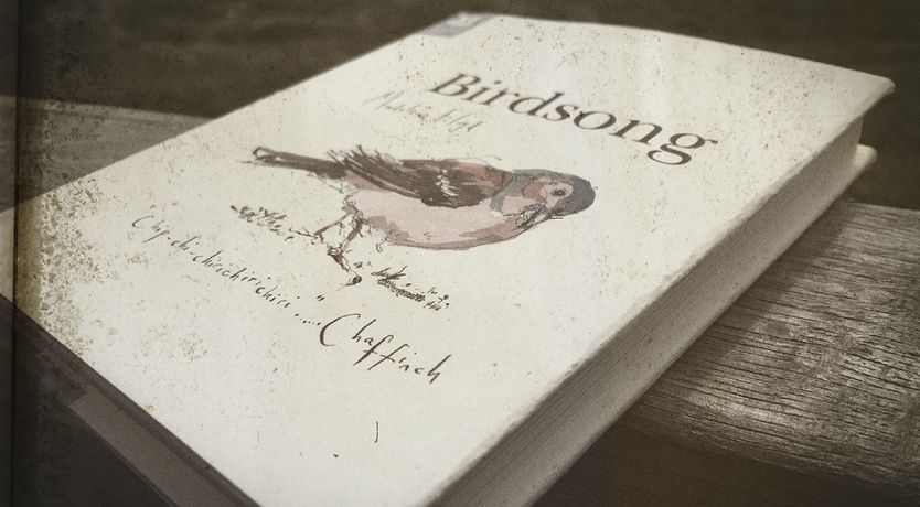 Photo of The Midsummer Song