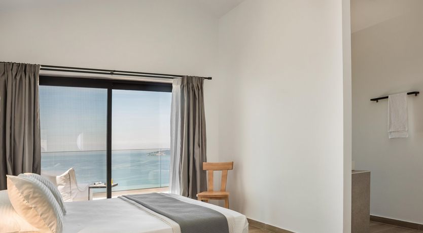 Photo of Robola Vines