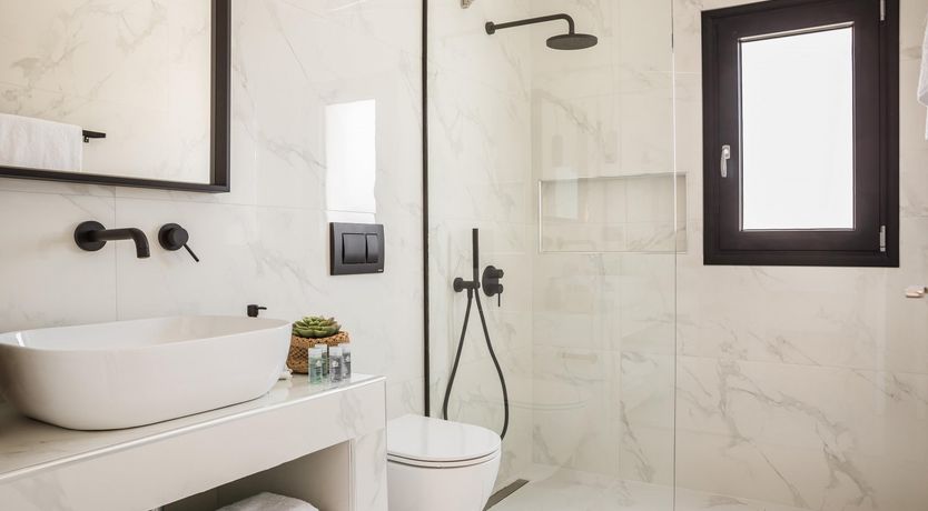 Photo of Robola Vines