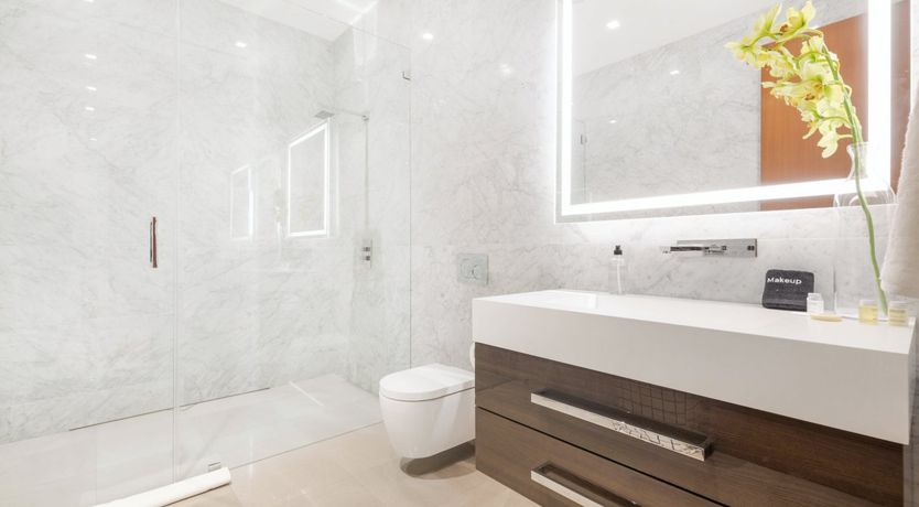 Photo of Bird Streets Oasis