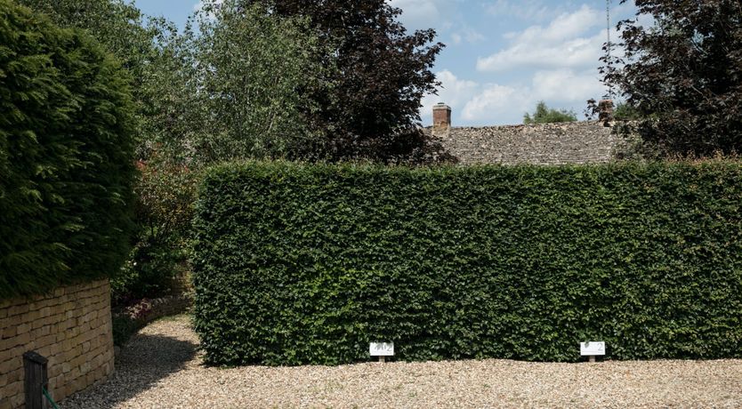 Photo of Country Bliss