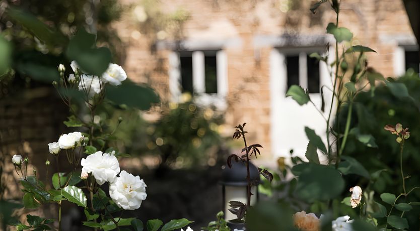 Photo of Country Bliss