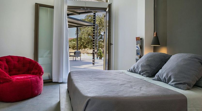 Photo of The Grape of Zeus