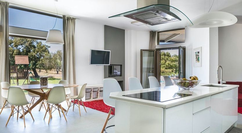 Photo of The Grape of Zeus