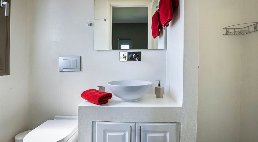 Photo of The Grape of Zeus