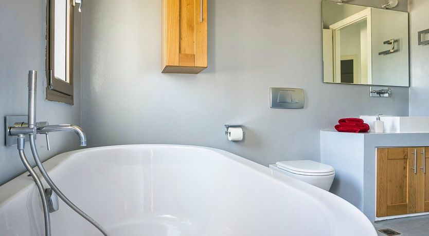 Photo of The Grape of Zeus