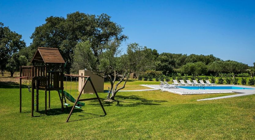 Photo of The Grape of Zeus