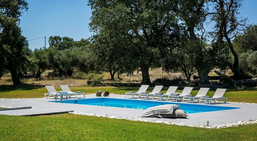 Photo of The Grape of Zeus