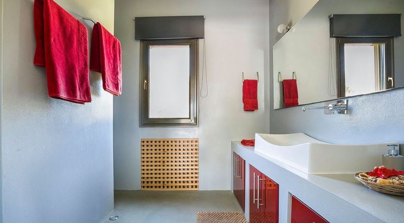 Photo of The Grape of Zeus