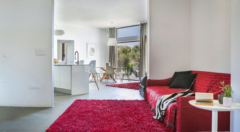 Photo of The Grape of Zeus