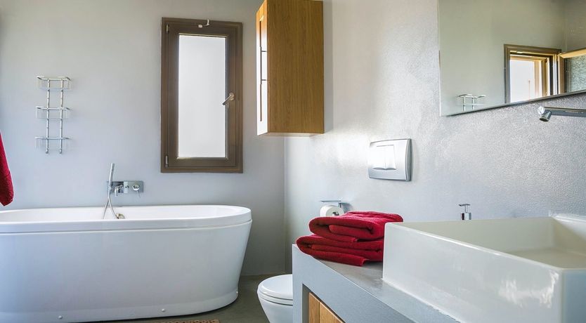 Photo of The Grape of Zeus