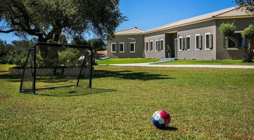 Photo of The Grape of Zeus