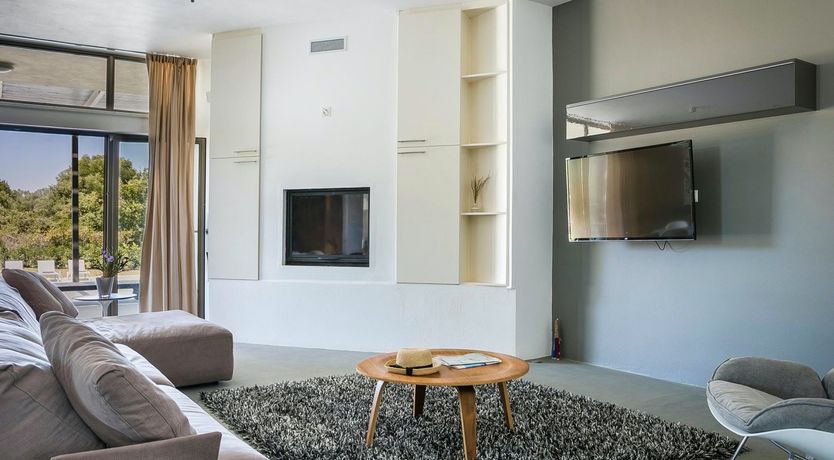 Photo of The Grape of Zeus