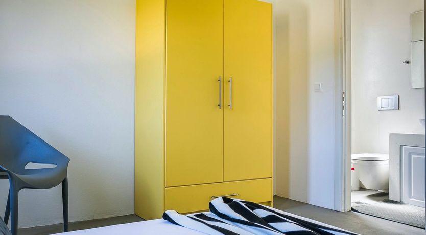 Photo of The Grape of Zeus