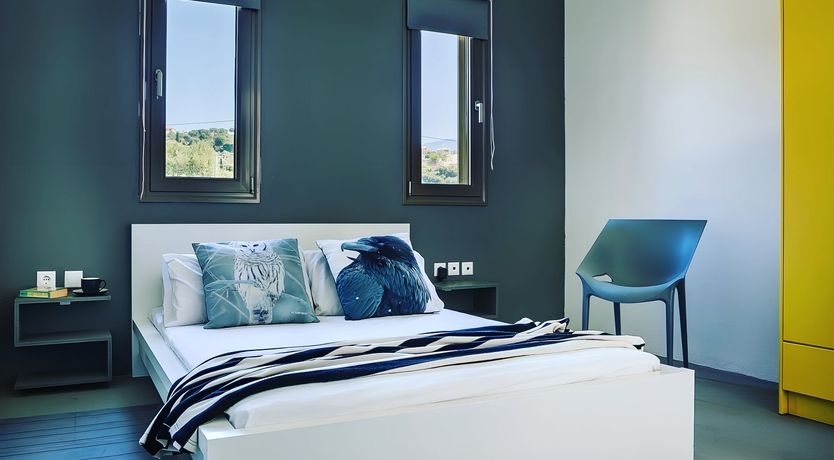 Photo of The Grape of Zeus