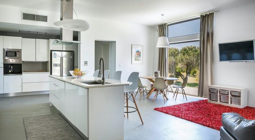 Photo of The Grape of Zeus