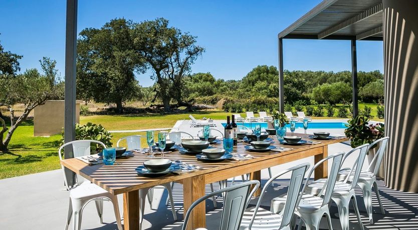 Photo of The Grape of Zeus